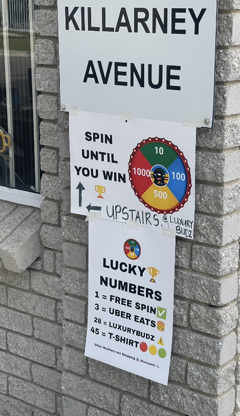 Winner 31
